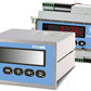 Weighing Indicator, Advanced Panel Mount Series - PT210